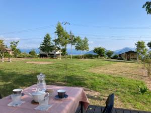 a table with a pink table cloth on a field at KEI in Lake Toya