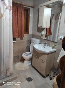 a bathroom with a toilet and a sink at Brvnare filip in Nova Varoš