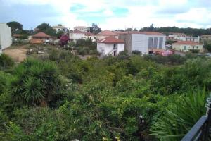 A garden outside Xristina's Experience