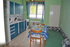 Kuchyň nebo kuchyňský kout v ubytování Apartmán Viktorie