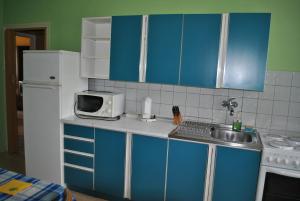 Kuchyň nebo kuchyňský kout v ubytování Apartmán Viktorie + 2 fotografie