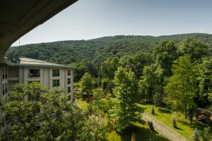 Gallery image of NG Sapanca Wellness & Convention in Sapanca