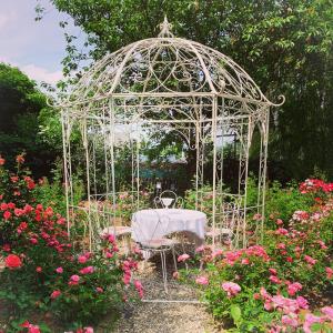 Vrt pred nastanitvijo Isabelle's Rosegarden