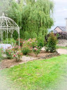 Vrt pred nastanitvijo Isabelle's Rosegarden