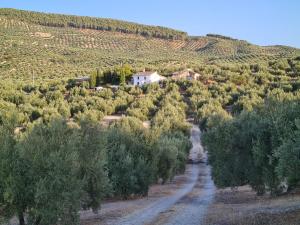 una strada sterrata con alberi e una casa in lontananza di Cortijo Las Rodrigas a Sabariego