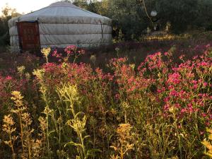 Fotografie z fotogalerie ubytování Valle de Oro v destinaci Villanueva de Algaidas