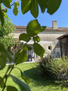 a view of a house through the leaves of a tree at Gîte des oiseaux in Préchac