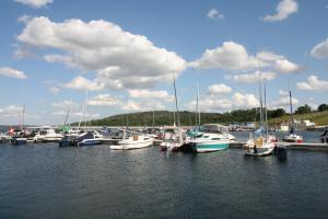 a bunch of boats docked in a harbor at Hausboot Casa di Lago in Braunsbedra