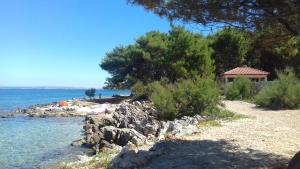 una spiaggia con una casa e l'acqua e gli alberi di Caravan near the sea 5 a Ugljan (Ugliano)