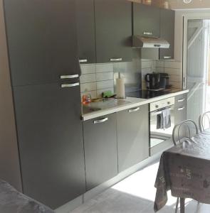 uma cozinha com um grande frigorífico e um lavatório em MAISON DE VILLE Avec jardin et Parking em Blois