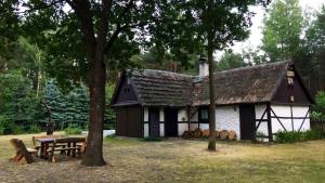 czarno-biały dom z drzewem i stołem piknikowym w obiekcie Bibianna Serce Lasu w mieście Malanów