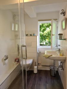 a bathroom with a toilet and a sink and a window at Pilgrims Gästeapartements in Meschede