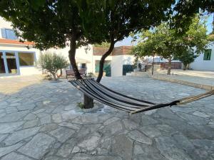 a hammock hanging from a tree in a courtyard at The Courtyard Episkopi Guest Houses in Episkopi Limassol