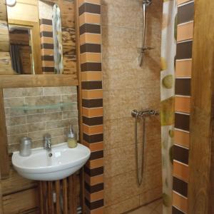 Ванна кімната в Khatyna u Dolyni