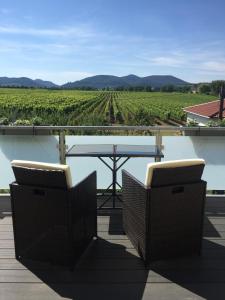 a patio with a table and chairs and a view of a vineyard at Valley ferienwohnung SÜW in Heuchelheim-Klingen