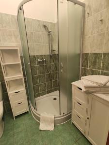 Koupelna v ubytování Apartmán Viky, Karlovice 251, 79323 Karlovice