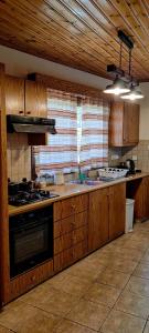 eine Küche mit Holzschränken und einem Herd mit Backofen in der Unterkunft Το Σπίτι του Προκόπη in Nikosia