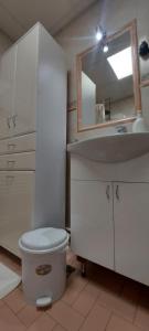 Vannituba majutusasutuses Apartment Vladan +34 fotot