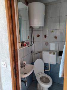 a small bathroom with a toilet and a sink at Apartmani Jakovljevic in Murter +23 photos