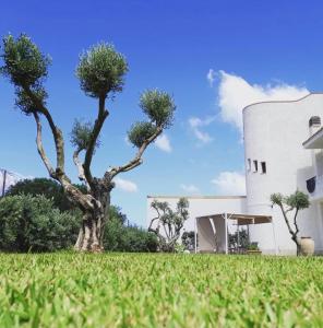 Zahrada ubytování Villa Eagle