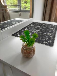 a plant in a jar on a kitchen counter at 80'S PARADISE in Tanah Rata +31 photos