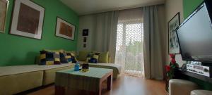 a living room with a couch and a tv at Apartment Vladan in Kumanovo