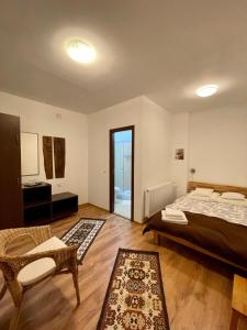 Cărpiniş的住宿－Pensiunea Tudor，一间卧室配有一张床、一把椅子和一张桌子