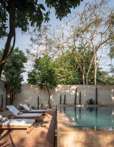a backyard with a swimming pool with lounge chairs and trees at Casona los Cedros in Espita
