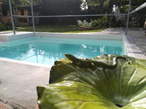 una piscina con una statua di rana accanto di Cà Nostra B&B Home Restaurant a Portacomaro