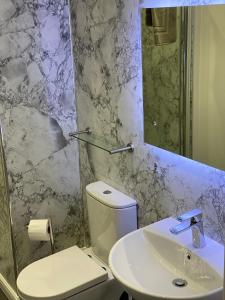 een badkamer met een toilet, een wastafel en een spiegel bij Adrian's Guest House in Inverness