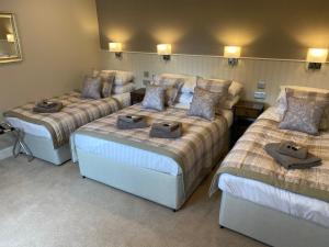 Gallery image of Adrian's Guest House in Inverness