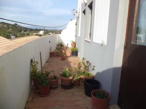 een rij potplanten op een balkon bij Casa do João in Barão de São João +7 foto's