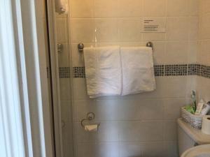 a bathroom with a towel hanging on a shower stall at Orchard Grove in Bagenalstown