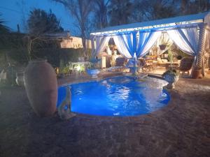 a cat sitting in a pool in a backyard at night at Michael-Angelo guest house in Potchefstroom