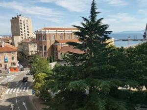 Príroda v okolí apartmánu