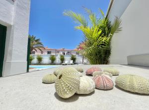 Bazén v ubytování Taucho - private, heatable pool, BBQ, 4 bedrooms - Vivienda vacacional nebo v jeho okolí