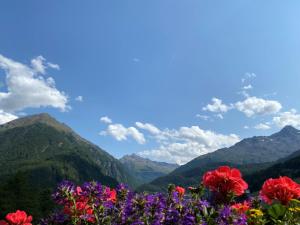 una vista de las montañas con flores en el primer plano en Pension Klaus, en Sölden