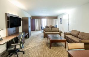 Χώρος καθιστικού στο Holiday Inn Express Hotel & Suites Fort Payne, an IHG Hotel