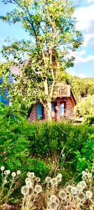 ein Backsteinhaus mit einem Baum davor in der Unterkunft Villat Parku i Liqenit in Orllan