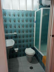 a bathroom with a toilet and a shower and a sink at Pensión Los Pinos Gijón in Gijón