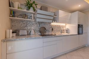 Kuchyň nebo kuchyňský kout v ubytování Apartment Rippl II