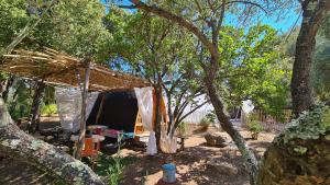 a tent in the shade of some trees at Gîte atypique Le Pod au coeur du maquis in Carbuccia