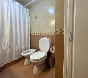 uma casa de banho com um WC e uma cortina de chuveiro em South Apartments em El Calafate