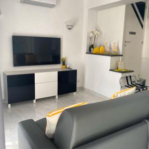 a living room with a couch and a tv at I Limoni Capri Apartment in Capri