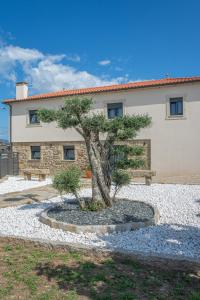 un bonsai di fronte a una casa di Refúgio Da Gandra a Vila Nova de Cerveira