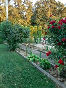 a garden with roses and plants in the grass at MAJA in Velika Gorica