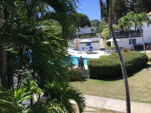 a man standing next to a swimming pool with a palm tree at 230 GG Rockley Barbados in Bridgetown