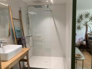 Koupelna v ubytování Chambre en Drôme Tropicale + 15 fotografií