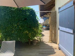 Fotografie z fotogalerie ubytování Chambre en Drôme Tropicale v destinaci Chabeuil