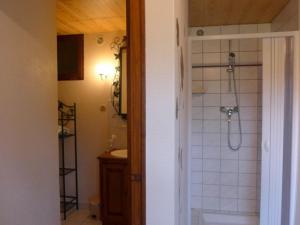 a bathroom with a shower and a sink at Gîte Cusey, 3 pièces, 4 personnes - FR-1-611-5 in Cusey